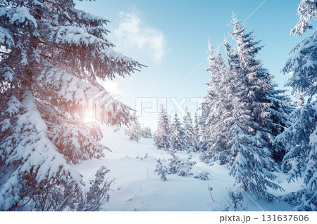 beautiful wintry landscape beautiful wintry landscape 131637606