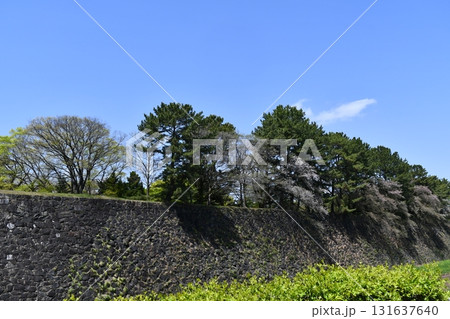 【愛知県】名古屋城 石垣 131637640