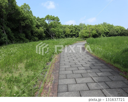 西神中央近隣散歩道からの風景 湯谷池 区役所 他 西神中央近隣散歩道からの風景 湯谷池 区役所 他 131637721