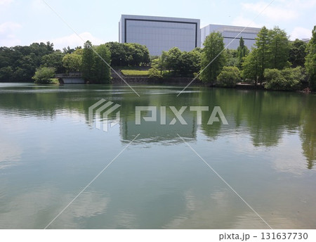 西神中央近隣散歩道からの風景　湯谷池　区役所　他 131637730