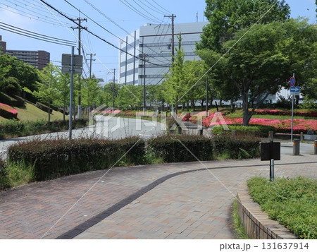 西神中央近隣散歩道からの風景　湯谷池　区役所　他 131637914