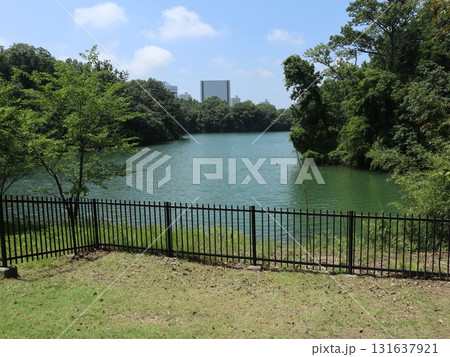 西神中央近隣散歩道からの風景 湯谷池 区役所 他 西神中央近隣散歩道からの風景 湯谷池 区役所 他 131637921