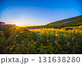 夕空の白山室堂 131638280