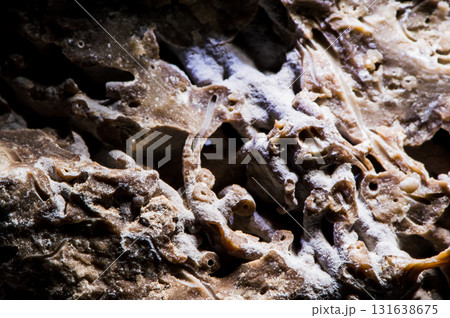 The stone fills the frame. 131638675