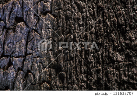 The structure of the wood has a wavy shape that changes depending on the direction of the grains The structure of the wood has a wavy shape that changes depending on the direction of the grains 131638707