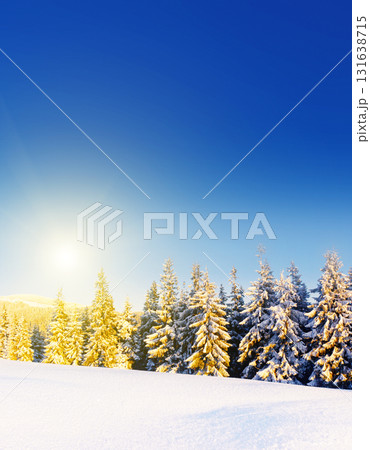 Amazing winter in the mountains Amazing winter in the mountains 131638715
