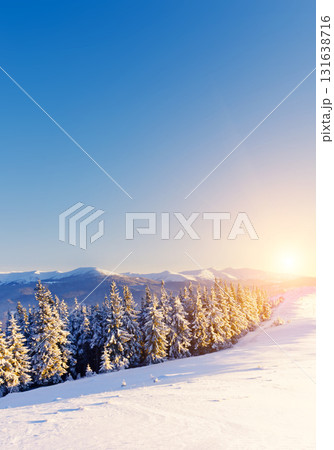 Amazing winter in the mountains 131638716