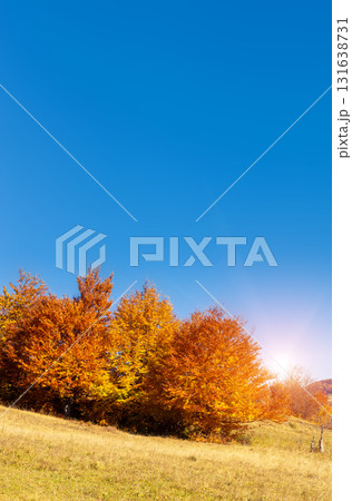 colored autumn mountains 131638731