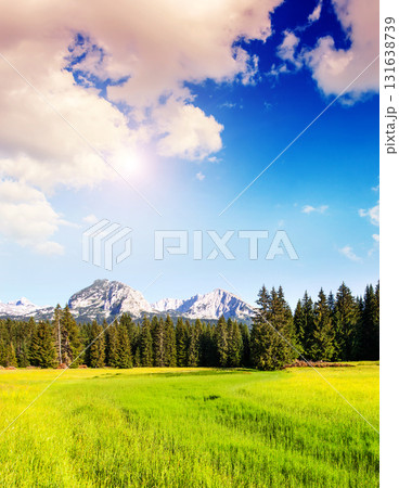 Wonderful view to mountains Wonderful view to mountains 131638739