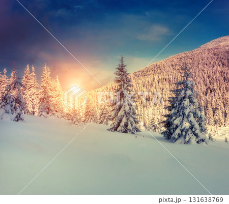 Amazing winter landscape Amazing winter landscape 131638769