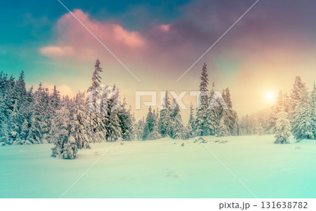 Amazing winter landscape Amazing winter landscape 131638782