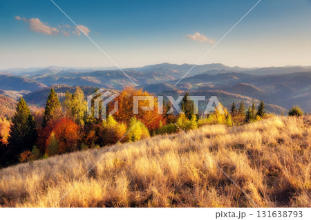 beautiful autumn day 131638793