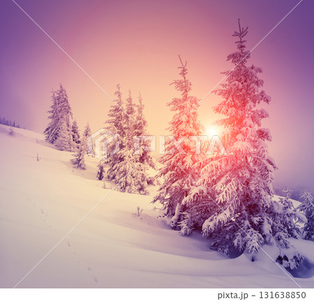 Amazing winter in the mountains 131638850