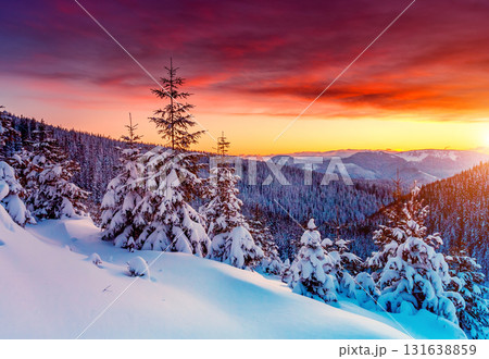 Amazing winter landscape 131638859