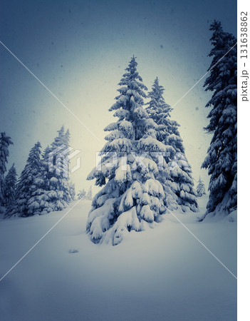 Amazing winter landscape Amazing winter landscape 131638862