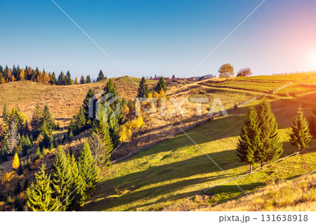 beautiful autumn day beautiful autumn day 131638918