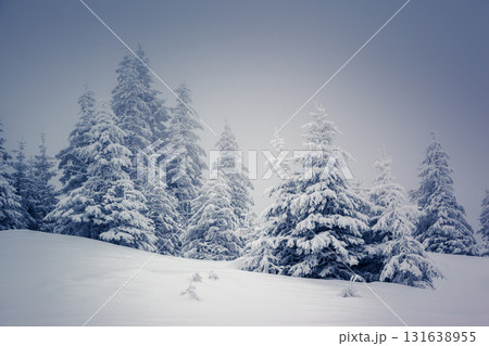 Amazing winter landscape Amazing winter landscape 131638955