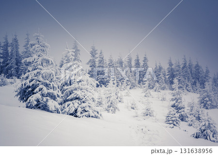 Amazing winter landscape Amazing winter landscape 131638956