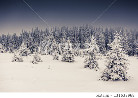 Amazing winter landscape Amazing winter landscape 131638969