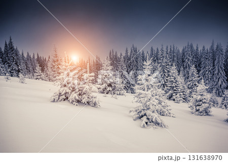 Amazing winter in the mountains Amazing winter in the mountains 131638970