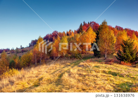 beautiful autumn day 131638976