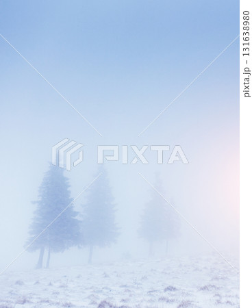 Amazing winter landscape 131638980