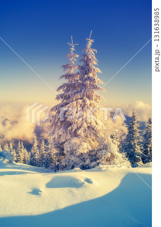 Amazing winter in the mountains Amazing winter in the mountains 131638985