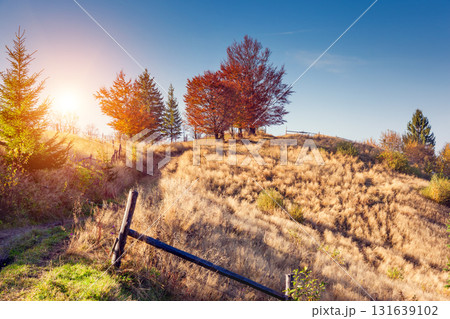 beautiful autumn day beautiful autumn day 131639102