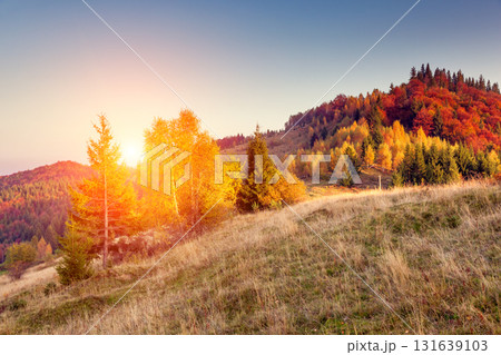 beautiful autumn day beautiful autumn day 131639103