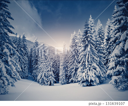 Amazing winter landscape 131639107