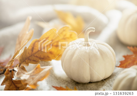 Autumn Composition with Miniature White Pumpkins. White pumpkins arranged with autumn maple leaves on a soft textured blanket in warm natural light 131639263
