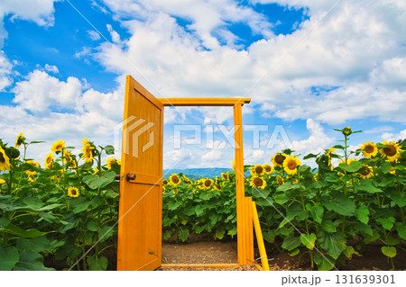 ヒマワリ 131639301