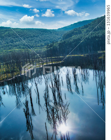 初秋の風景 131639965