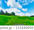 初秋の風景 131640050