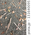 fallen leaves on the ground 131640095