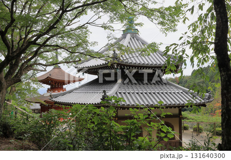 西国三十三所観音霊場、第20番札所「善峯寺」経堂と多宝塔 131640300