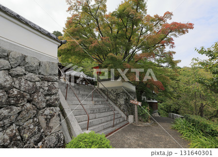 西国三十三所観音霊場、第20番札所「善峯寺」経堂側から釈迦堂を見る 西国三十三所観音霊場、第20番札所「善峯寺」経堂側から釈迦堂を見る 131640301