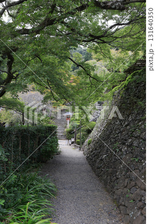 西国三十三所観音霊場、第20番札所「善峯寺」鐘楼から阿弥陀堂方向を見る、右上は遊龍の松 131640350