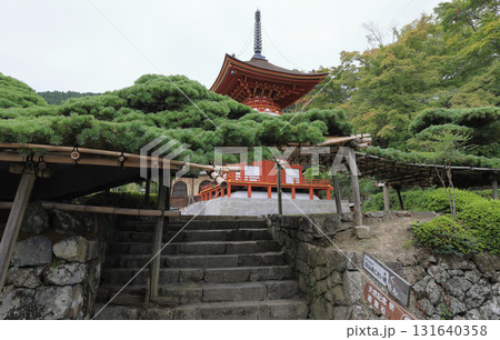 西国三十三所観音霊場、第20番札所「善峯寺」護摩堂側から遊龍の松越しに見る多宝塔 131640358