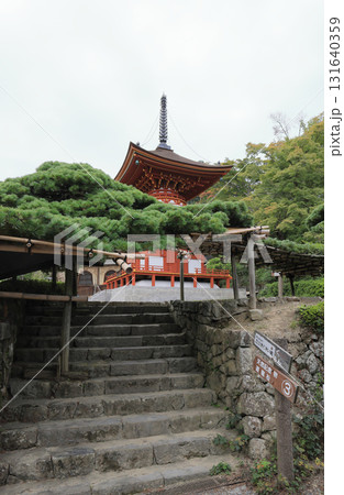 西国三十三所観音霊場、第20番札所「善峯寺」護摩堂側から遊龍の松越しに見る多宝塔 131640359