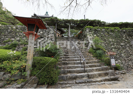 西国三十三所観音霊場、第20番札所「善峯寺」護摩堂側から見る遊龍の松 131640404