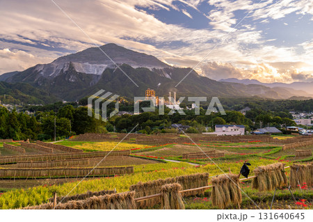 《埼玉県》秋の秩父・夕暮れの寺坂棚田 131640645