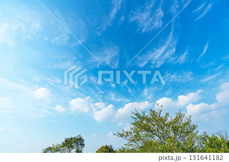 青空と雲と木立 131641182
