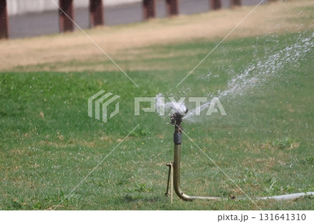 緑の芝生の上に自動噴射型水撒き機のある公園の風景 緑の芝生の上に自動噴射型水撒き機のある公園の風景 131641310