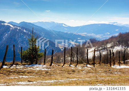 mountainous countryside on a sunny day. winter to spring season change scenery. melting snow and leafless trees on the rolling hills. view in to the distant valley of transcarpathia, ukraine 131641335