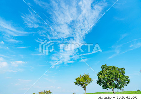 青空と雲と草原 131641350