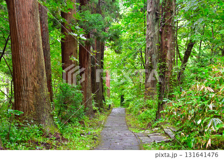 羽黒山 参道 羽黒山 参道 131641476