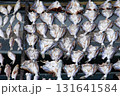Fresh fish drying outdoors in the bright sunlight 131641584