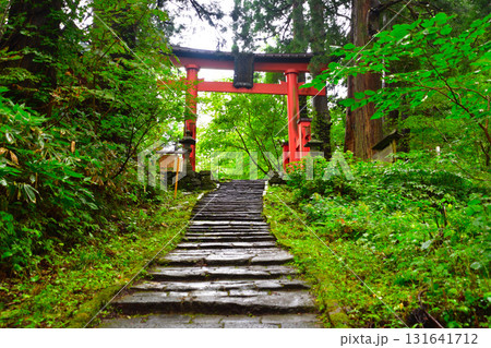 出羽三山神社 羽黒山 参道 出羽三山神社 羽黒山 参道 131641712