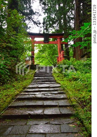 出羽三山神社　羽黒山　参道 131641719